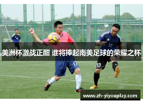 美洲杯激战正酣 谁将捧起南美足球的荣耀之杯